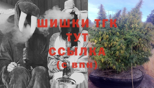 стаф Белокуриха