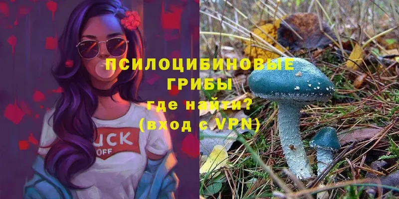 где продают   Сызрань  кракен ссылки  Псилоцибиновые грибы MAGIC MUSHROOMS 